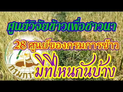 ศูนย์วิจัยข้าวเพื่อชาวนา​ 28​ ศูนย์ของกรมการข้าว​ มีที่ใหนกันบ้าง