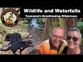 Tasmania living in a caravan, breathtaking scenery! - Episode 5 on Gecko Adventures Australia