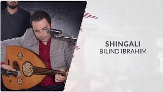 Bilind Ibrahim - Shingali/2014/D