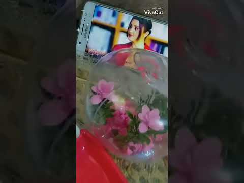 غنية شيرين كلها غيرانة مع اطيب فنجان قهوة منوعات