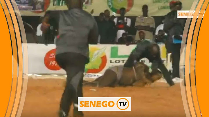 Intégralité Combat Modou lo vs Eumeu SENE