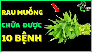 Tin Vui: 10 Lợi Ích Của Rau Muống Chữa Được 10 Căn Bệnh Thường Gặp Nhất- kênh sức khoẻ bổ ích