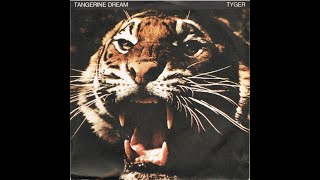 Tangerine Dream - album &quot;Tyger&quot; (1987)🎸Лучший альбом группы Tangerine Dream 1987 года - &quot;Tyger&quot;