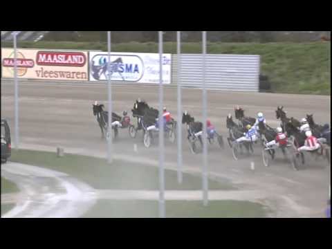 Vidéo de la course PMU PRIX CLERK MAGISTRATE (BOKO CHAMPIONS CHALLENGE)