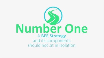 BEE for Short - The Basics of B-BBEE | Episode 1