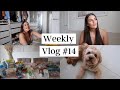 NEW SKINCARE / MAKEUP & MY WEEKLY FOOD SHOP | WEEKLY VLOG