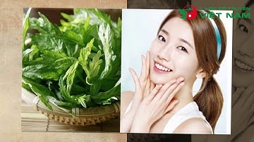 Công dụng điều trị chứng ra máu khi mang thai của Cây Ngải Cứu trong Đông Y