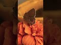 It’s called Nature | Burans1981 #viralvideo #burans1981