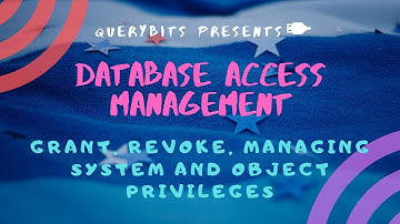 How to grant permission SQL  | How to manage Database Access| Managing Object & System Privileges