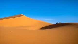 Arabic Relaxing Music Desert Caravan Восточная Музыка Пустынный Караван