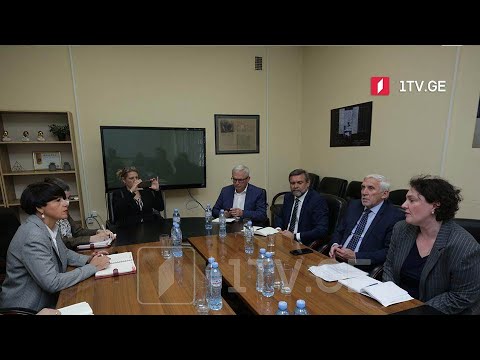 ჩეხეთის სენატის დელეგაცია საზოგადოებრივ მაუწყებელში