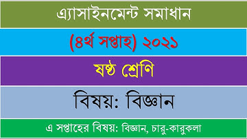 Class 6 Science 4th week 2021 assignment solution