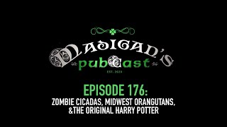 Madigan's Pubcast Episode 176: Zombie Cicadas, Midwest Orangutans & The Original Harry Potter