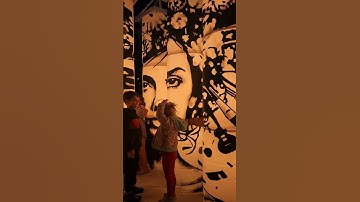 #westernlightsfestival #reno #renonv #artexhibition #art #burningman #newmusic