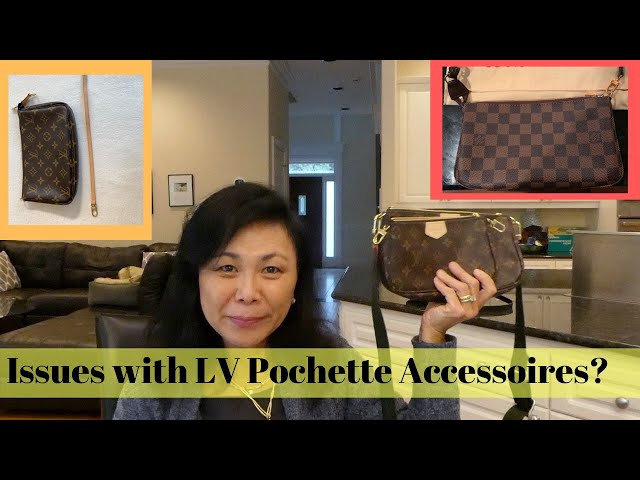 Please Help me decide. I bought the easy pouch (right) for quick errands  (to hold my phone and card holder). But the multi pochette is only $1200  more. I could just use