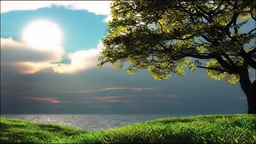 "إنما إلهكم الله الذي لا إله إلا هو وسع كل شيء علما"-للقارئ/ يوسف معاطي