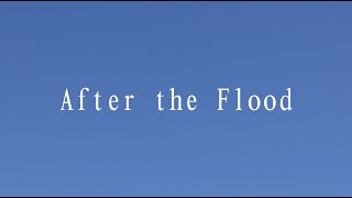 After The Flood