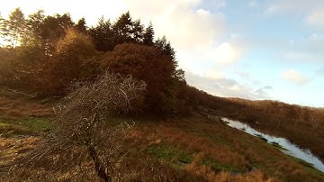 GitUp F1 - very short flight autumn scene