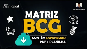 Quais são as divisões da Matriz BCG?