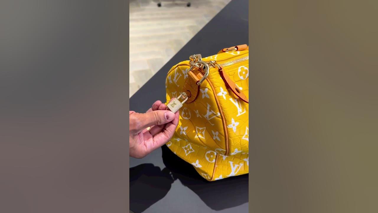 Pharrell's Debut at Louis Vuitton Men's 2024 Spring Summer: A Look at the  LoVers Bags - PurseBop