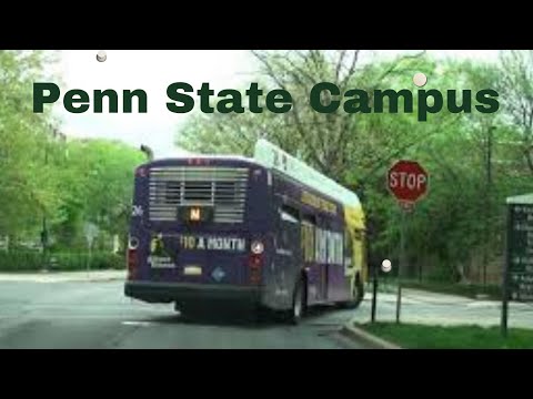 Video: Penn State sud psixologiyasiga egami?