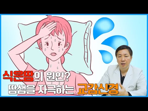 식은땀의 원인은 땀샘을 자극하는 자율신경의 문제 