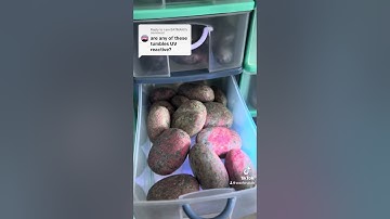 UV reactive crystal tumbles at www.theseaofcrystals.com 🤩 #seaofcrystals #crystalshop #crystal