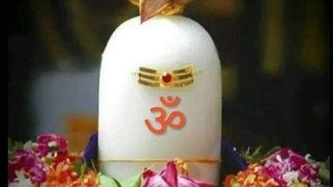 Pt. Vinod Kumar shukla prashuramji