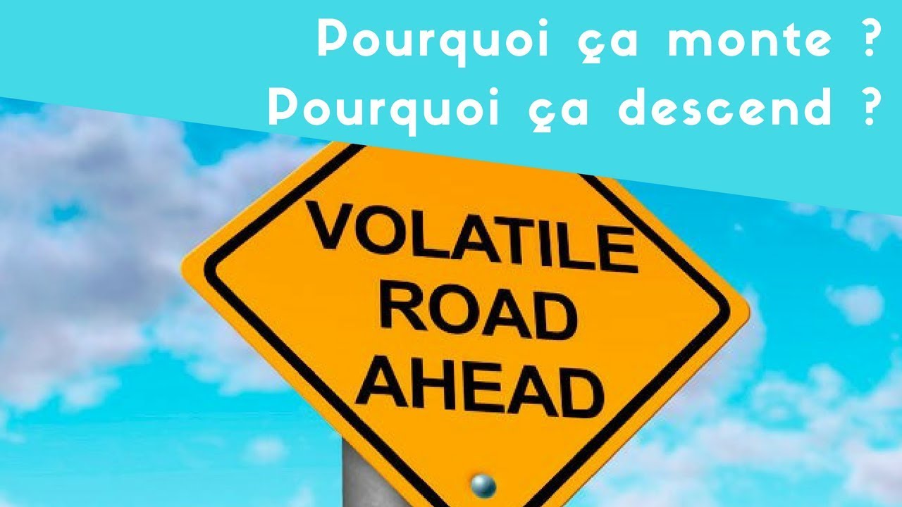 Qu’est ce qui fait que le prix d’une crypto monte ou descend ?