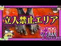 絶対行くな!世界の禁足地5選まとめ【 ゆっくり解説 危険スポット 】