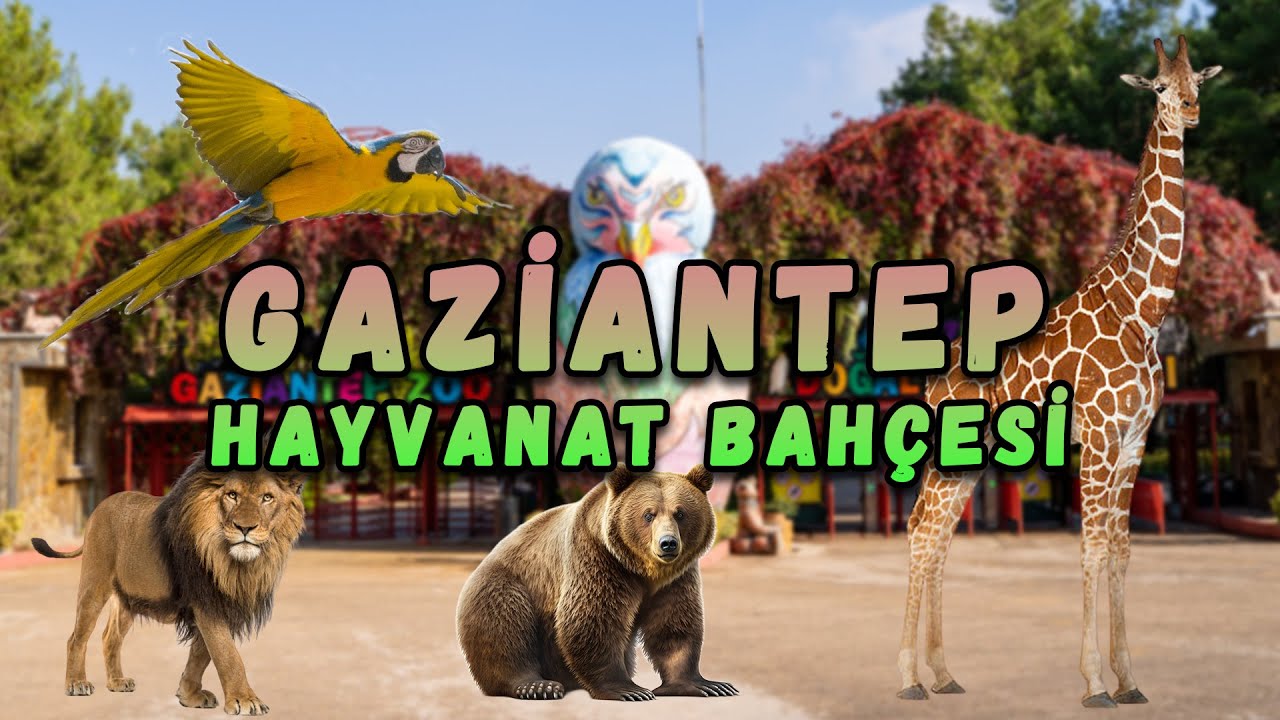 Gaziantep Hayvanat Bahçesi 🦁 Türkiye'nin En Büyük Hayvanat Bahçesi!