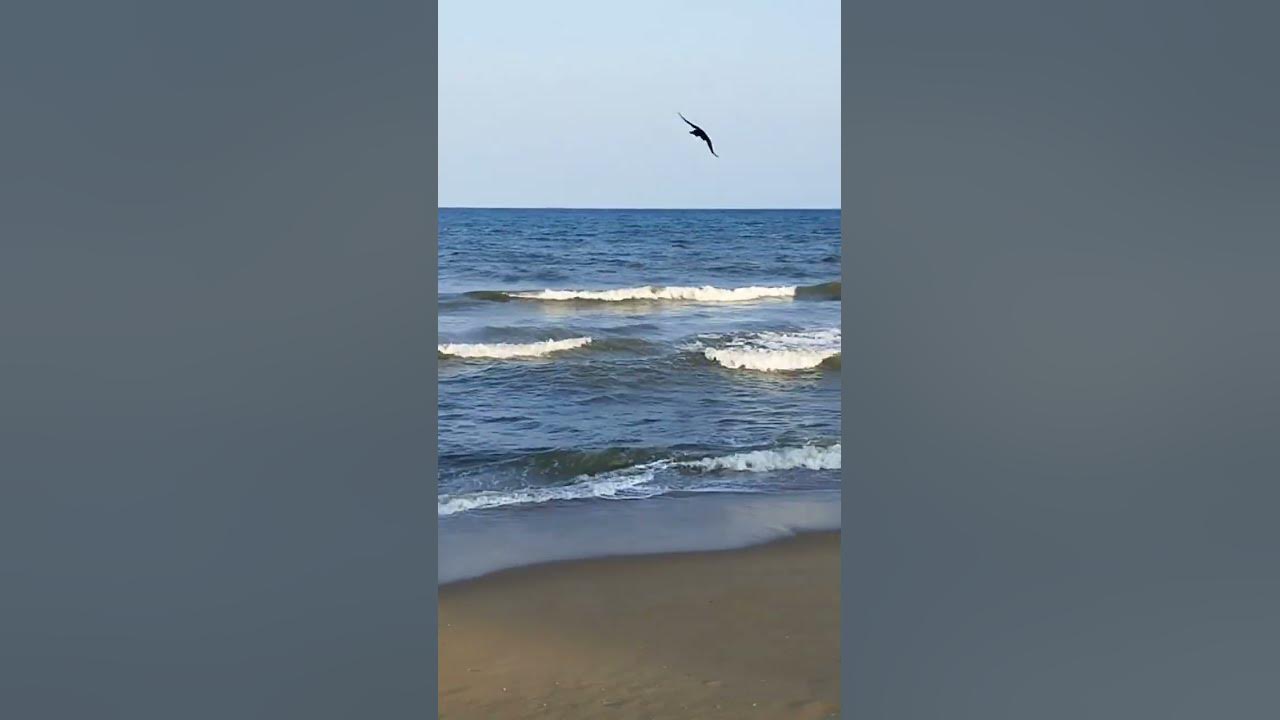 thiruvanmiyur-beach-pleasant-climate-shorts-sujaskitchen-beach
