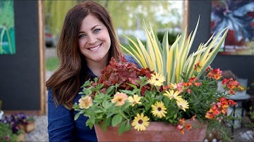 Container Inspiration // Orange & Yellow // Garden Answer