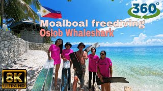 VR360 Oslob whale shark Moalboal panagsama Beach Freediving 고래상어 모알보알 비치 프리다이빙