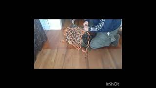 Folded backpack net to add to Molle pack