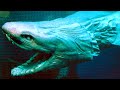 Frilled Shark facts: the sharks with the weirdest teeth | Animal Fact Files