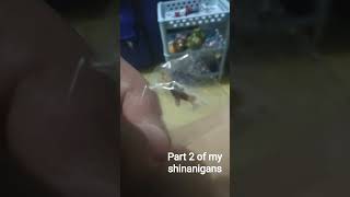 part 2 of my lil bug#business#trap#food#evolution#flyxo