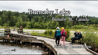 Burnaby Lake / Burnaby BC Canada