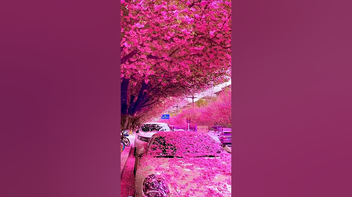 #shortslife #beautiful #trending #popular  #vietnam #ytshorts #viral #india #reels #travel #flowers