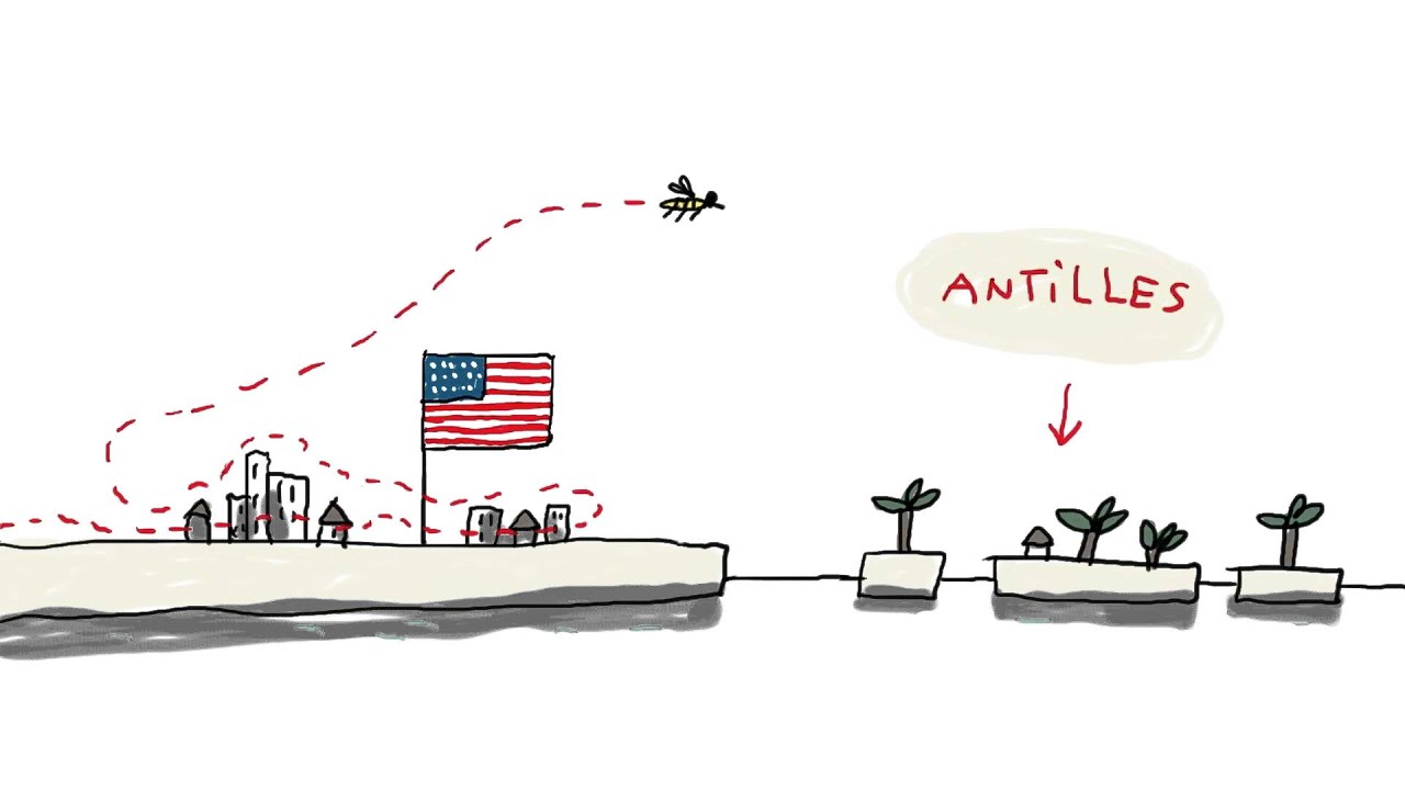 C'est quoi le virus Zika ? - 1 jour, 1 question