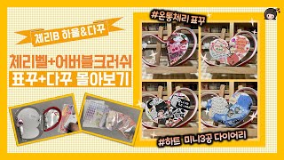 체리벨 미니하울과  ?하트 다이어리(다꾸) 몰아보기 함께해요 Cherrybell minihaul & heart journal flip through