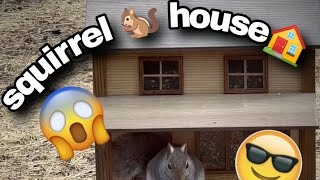 How To Make A Wooden Squirrel House