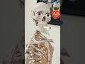 MLB Medical College Anatomy Lab Vlog ♦🔥🔥#minivlog #shorts #vlog #jack_dark #jackdarkvlogs #trending