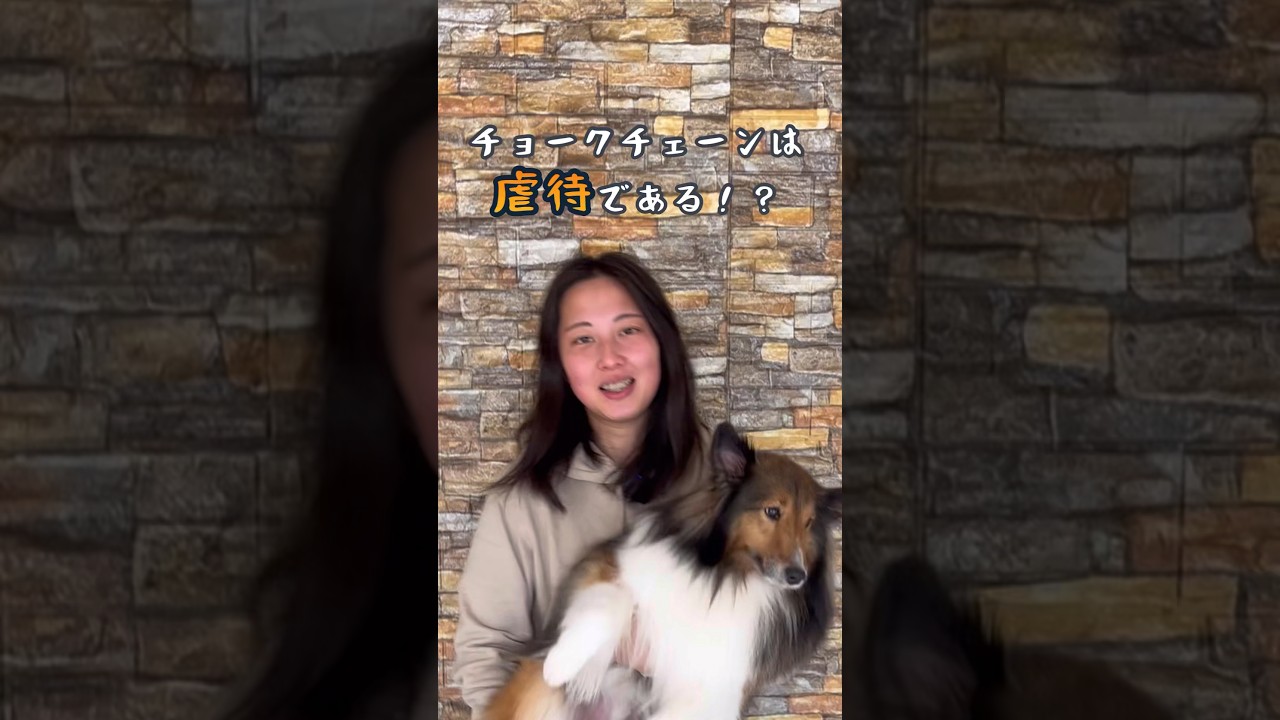 虐待！？】ではないチョークチェーンの使い方#short - YouTube