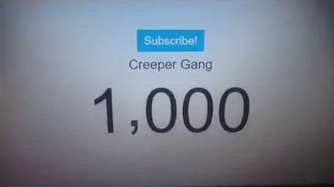 I HIT 1,000 SUBSCRIBERS!!!