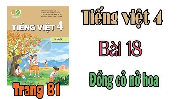 Tiếng việt lớp 4 Kết nối tri thức Bài 18 Đồng cỏ nở hoa Trang 81