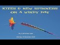 Kites  new spinners on a windy day