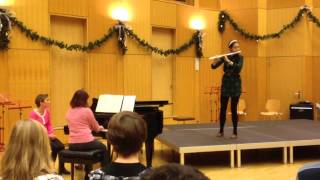 Mozart D-Dur Flötenkonzert