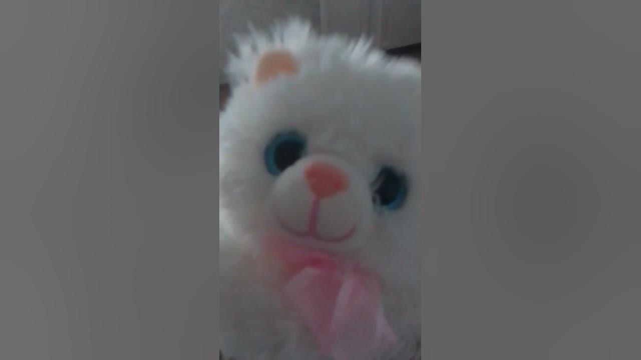 Кошечка Мурсдей - YouTube