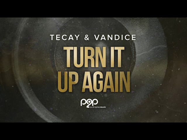 TeCay - Turn It Up Again